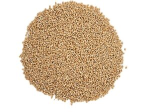 Hạt nhựa tái sinh PP vàng